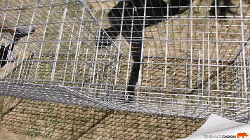 T1w2Y_BQZT1RCvBVdK.gif